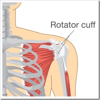 Shoulder Pain Tigard OR Rotator Cuff Injury