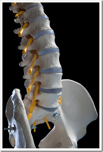 Herniated Disc and Back Pain Tigard OR