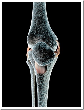 Knee Pain Tigard OR Sports Injury